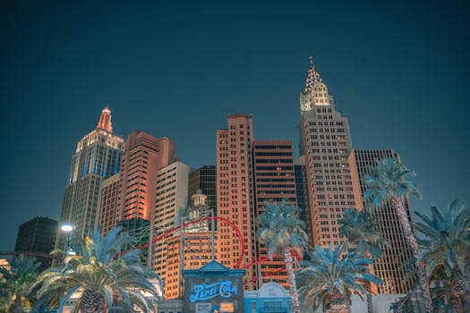 Pet-Friendly Hotels in New York City