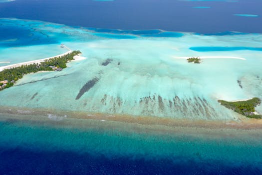 Best Resorts in the Maldives for Snorkeling