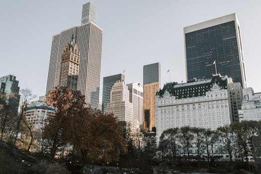 Hotels in New York City with Central Park Views