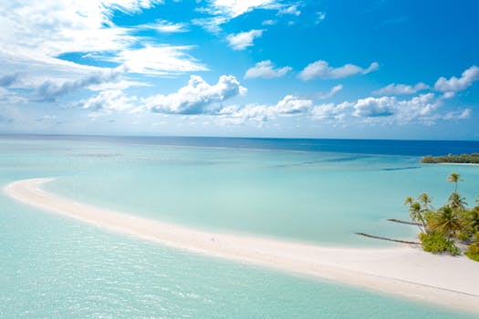 Best Resorts in Barbados for All-Inclusive Luxury