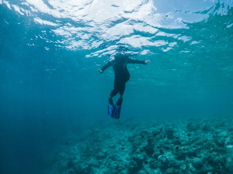 Resorts in the Maldives for Scuba Diving Adventures